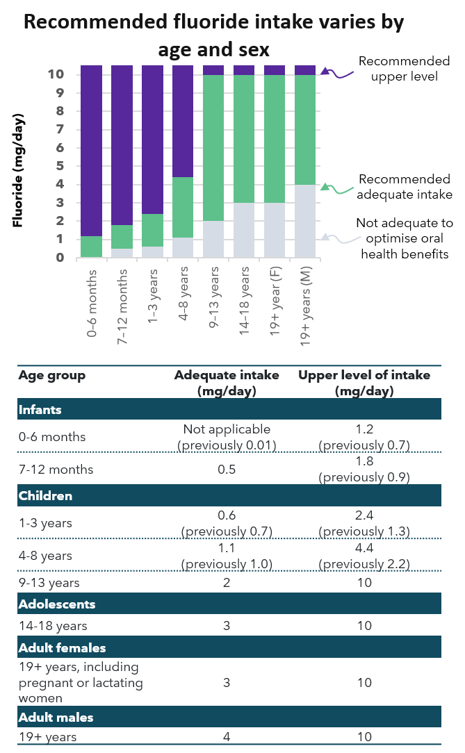 Recommended fluoride intake varies by age and sex. Adults aged over 19 years have higher recommended intakes than children and infants. 