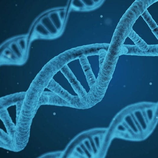 Gene editing: Time to have your say