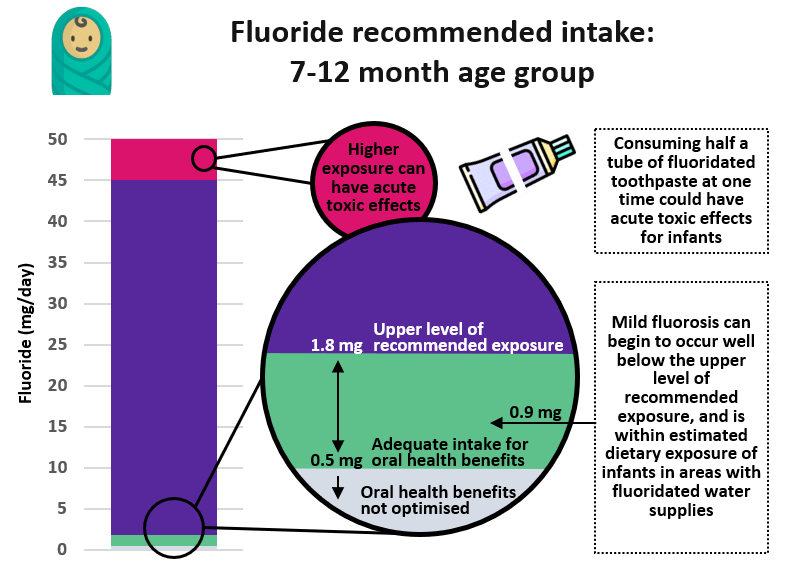 Recommended fluoride intake for the 7-12 month age group: 0.5mg is adequate for oral health benefits. Consuming half a tube of fluoridated toothpaste at one time could have an acute toxic effect for infants. 1.8mg is the upper level of recommended exposure, while mild fluorosis can begin to occur at 0.9mg intake.