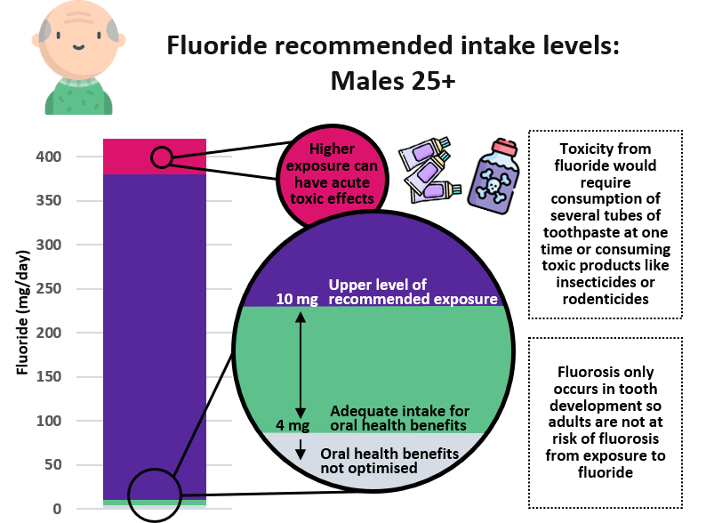 Men over 25 need 4mg of daily fluoride intake for oral health benefits. Fluorosis only occurs in tooth development so adults are not at risk of fluorosis from fluoride exposure.