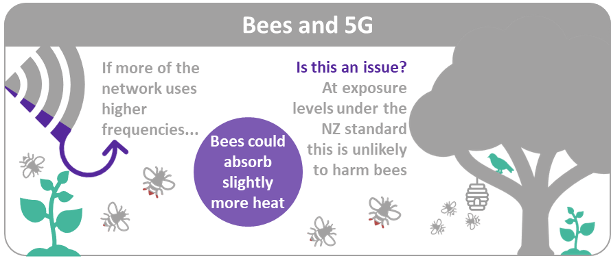 Bees may absorb slightly more heat if the network uses higher frequencies. At levels under the NZ standard, this is unlikely to harm bees.
