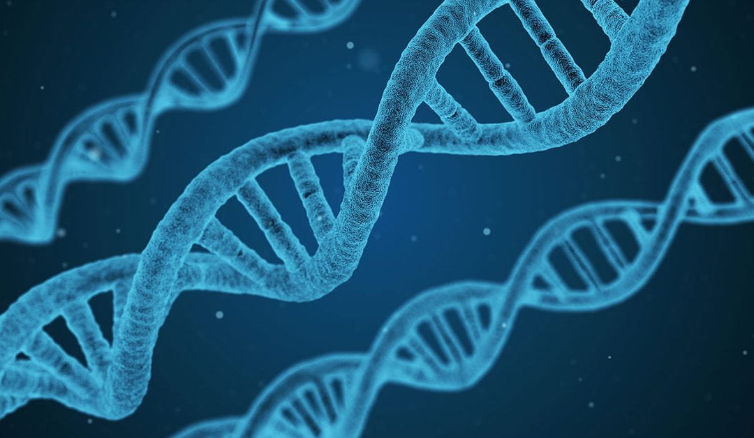 NZ genetic engineering laws ‘old and tired’, top scientist says