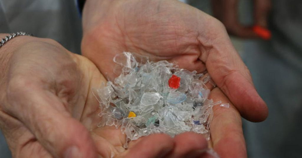 Plastic flakes at Flight Plastic. Image credit: Wellington City Council