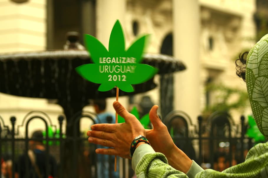 Person's hands holding a cannabis leaf-shaped placard that says 'legalise Urugauy 2012'
