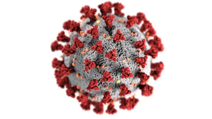 the SARS-CoV-2 coronavirus particle