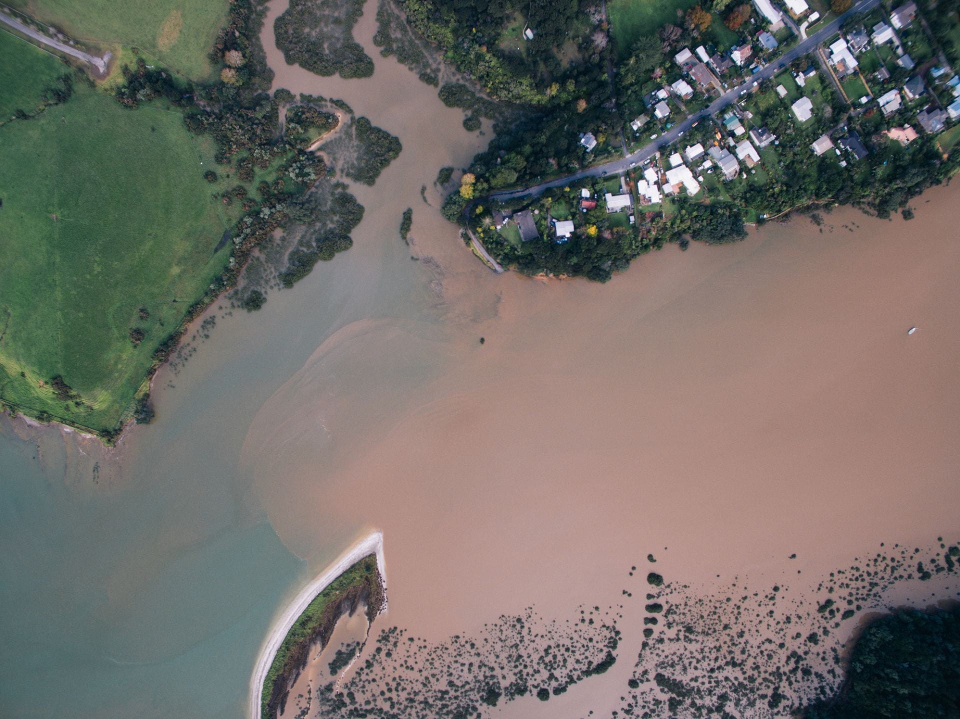 Sediment near Okura by Geoff Reid NZ
