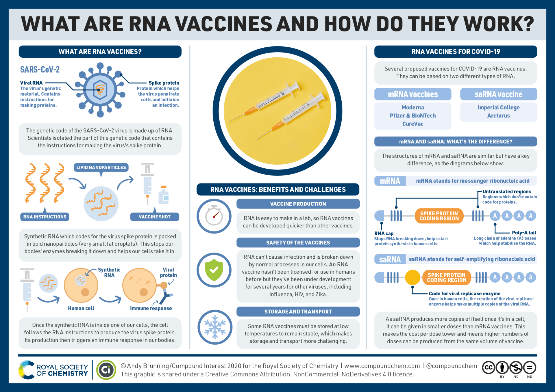 An infographic describing how RNA vaccines work