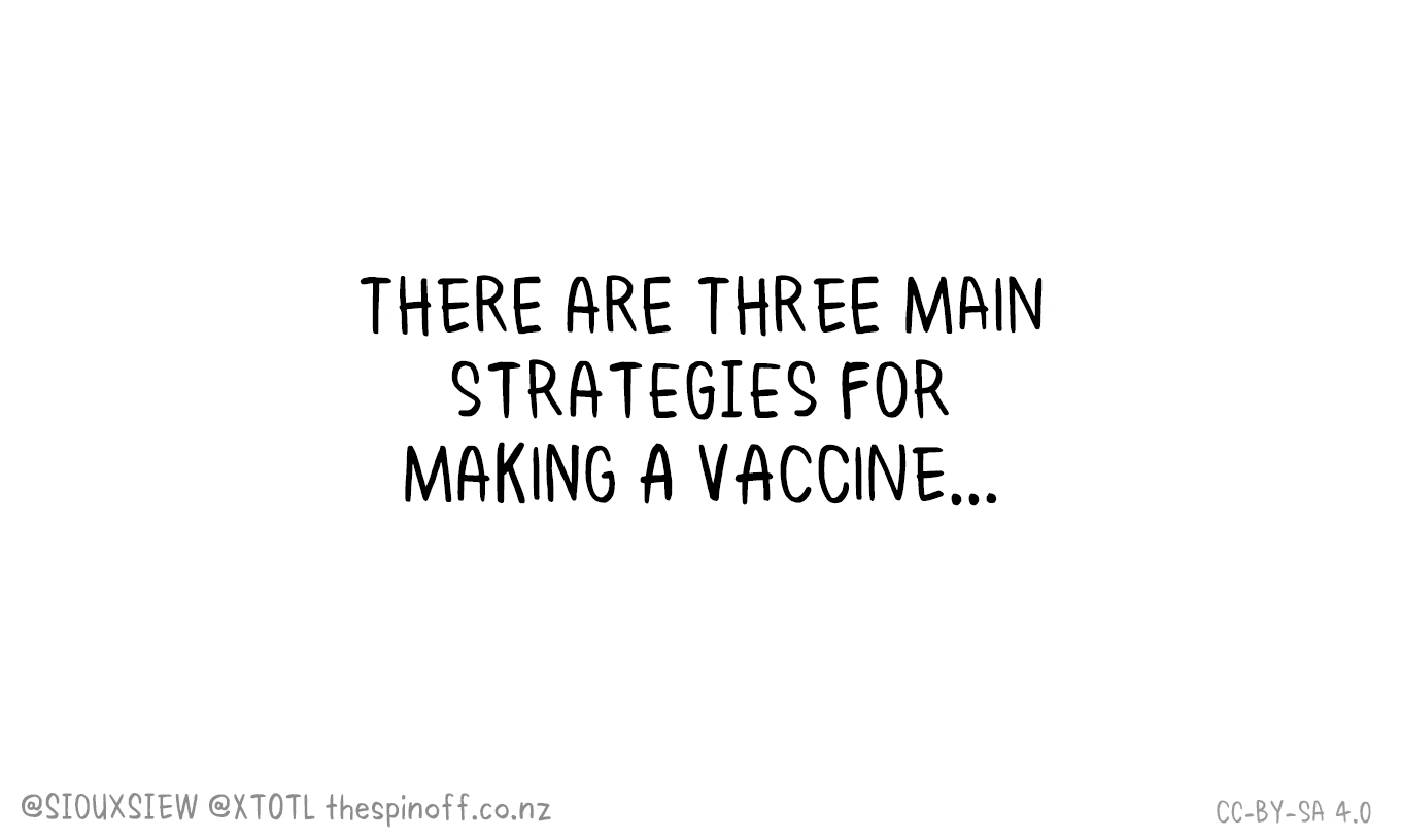 A gif describing the three main strategies for making a vaccine.