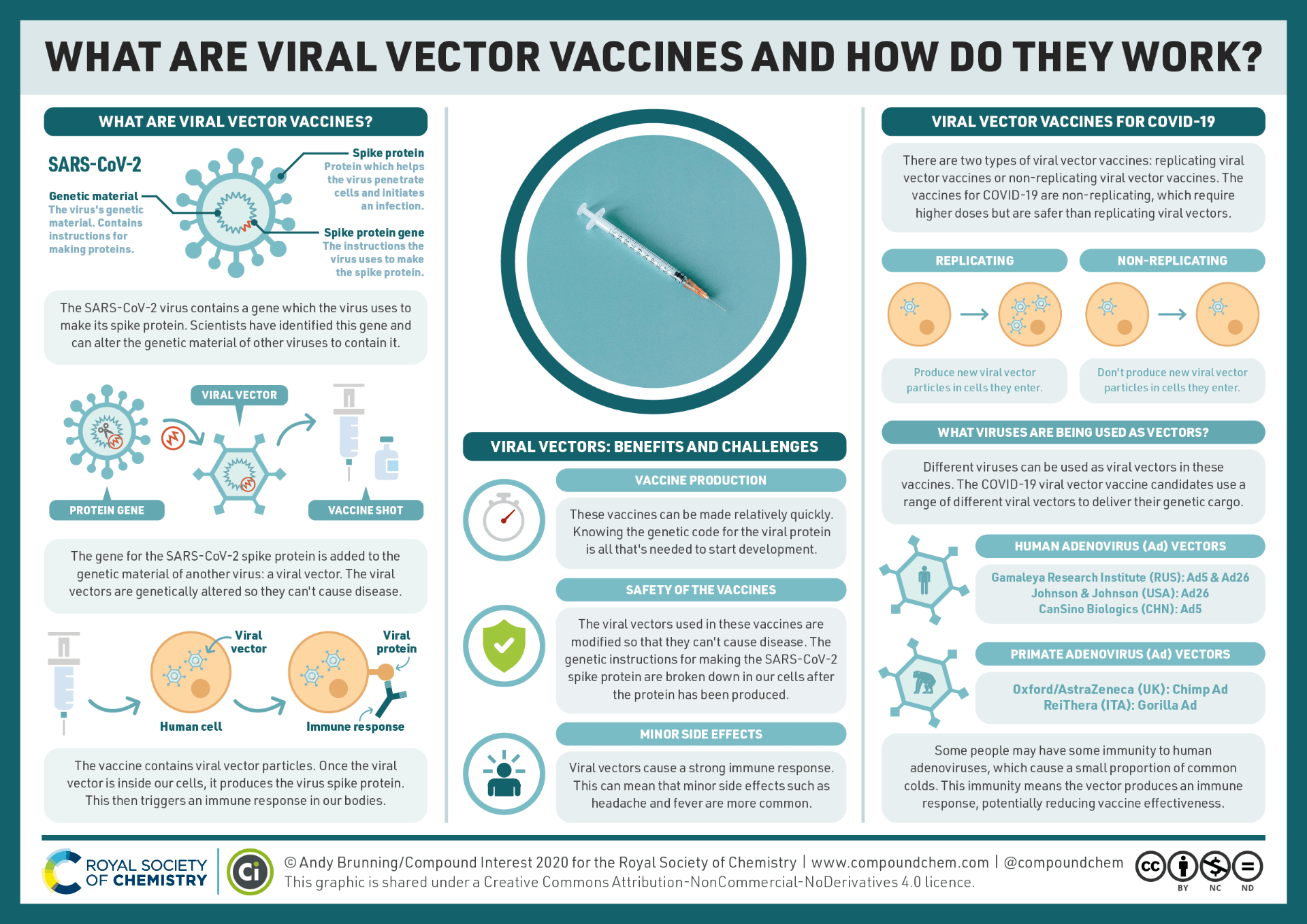 An infographic describing how viral vector vaccines work