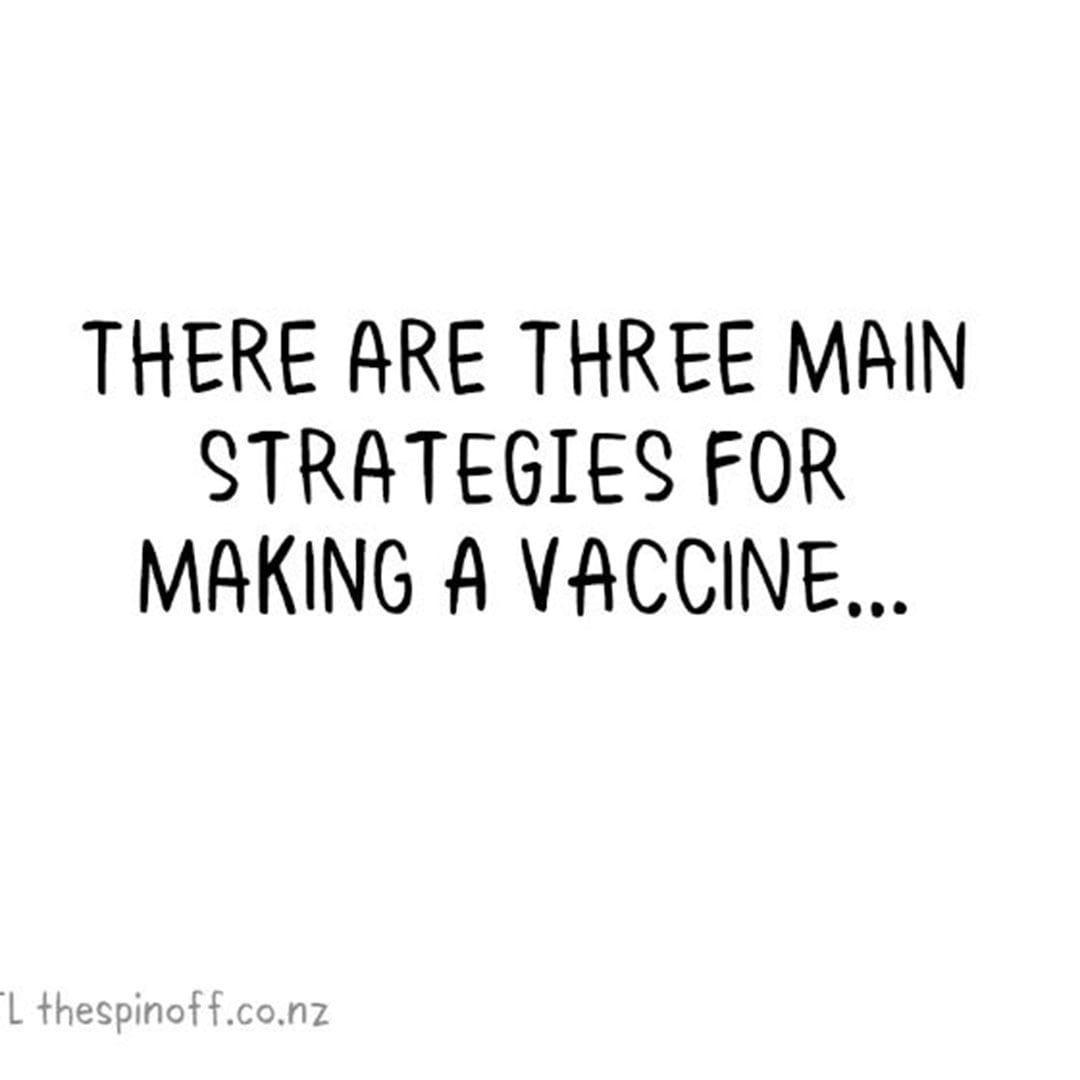 There are three main strategies for making a vaccine