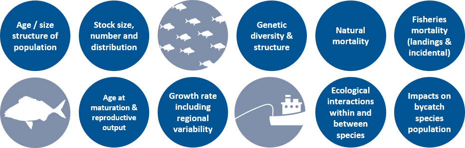 Age/size structure of population; stock size, number and distribution; age at maturation and reproductive output; growth rate including regional variability; genetic diversity and structure; natural mortality; ecological interactions within and between species; fisheries mortality (landings and incidental); impacts on bycatch species population