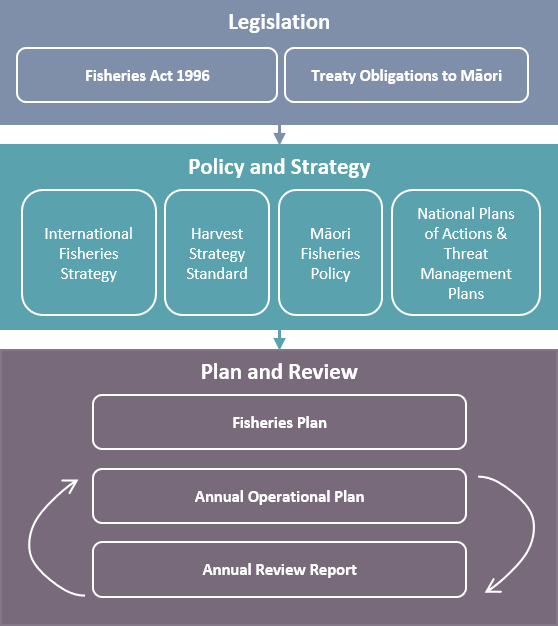 Diagram showing how fisheries plans fit into the wider context: Legislation is the foundation, consisting of the Fisheries Act 1996 and Treaty obligations to Māori. These lead to policy and strategy, including international fisheries strategy, the Harvest Strategy Standard, Māori fisheries policy, and National Plans of Action and Threat Management Plans. Finally, policies and strategies lead to plans and reviews, including fisheries plans, annual operational plans and annual review reports.