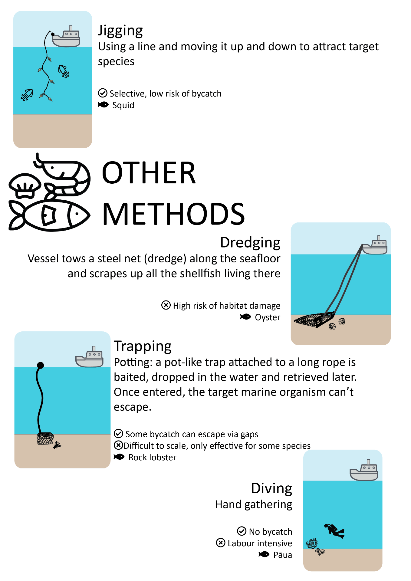 Jigging involves using a line and moving it up and down to attract target species. It is selective with a low risk of bycatch. Other methods include dredging, where a vessel tows a steel net (dredge_ along the seafloor and scrapes up all the shellfish living there. This has a high risk of habitat damage. Trapping or potting uses a pot-like trap attached to a long rope which is baited, dropped in the water and retrieved later. Once entered, the target marine organism can't escape. Some bycatch can escape via gaps. Trapping is difficult to scale and is only effective for some species. Diving to hand-gather species such as pāua does not have any bycatch but is labour intensive.