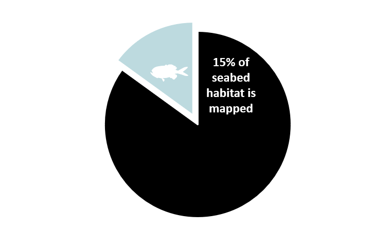Pie chart showing that just 15% of the seafloor of NZ's EEZ has been mapped