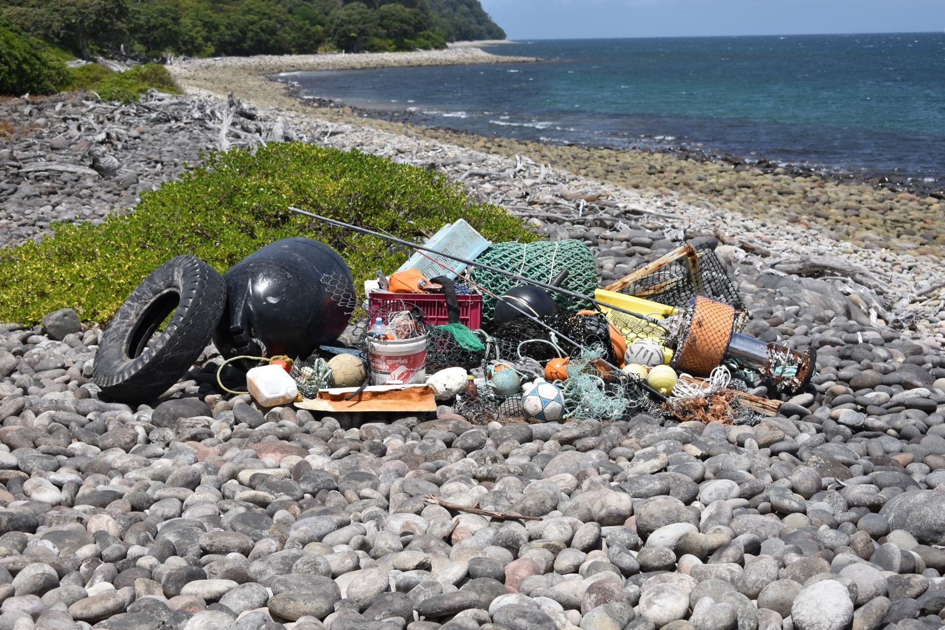 Ghost gear and other plastic waste washed ashore on Te Hauturu-o-Toi Little Barrier Island.