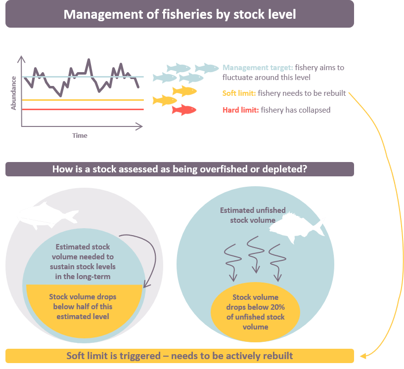 Management of fisheries by stock level includes a management target - the level at which the fishery aims to fluctuate around, the soft limit which is the level at which a fishery needs to be rebuilt, and the hard limit which is the level at which the fishery has collapsed. If the soft limit is triggered, the fishery needs management interventions to actively rebuild the stock. 