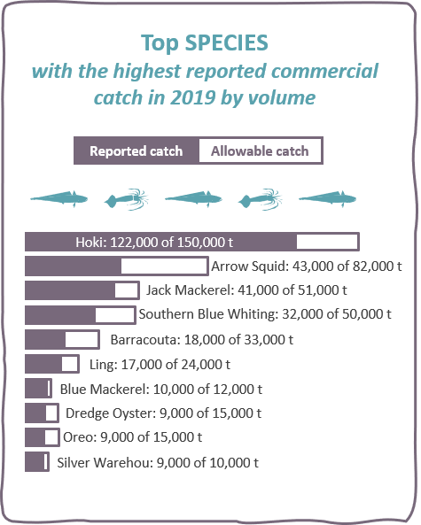 Top species with the highest reported commercial catch in 2019 by volume: hoki, arrow squid, jack mackerel, southern blue whiting, barracouta, ling, blue mackerel, dredge oyster, oreo, silver warehou