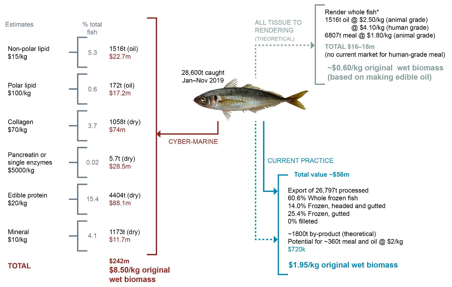 Potential to increase the value of jack mackerel through higher value by-products