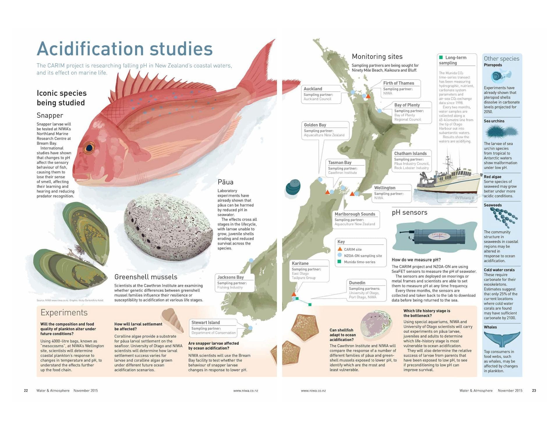 Ocean acidification infographic