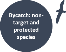 Bycatch: non-target and protected species