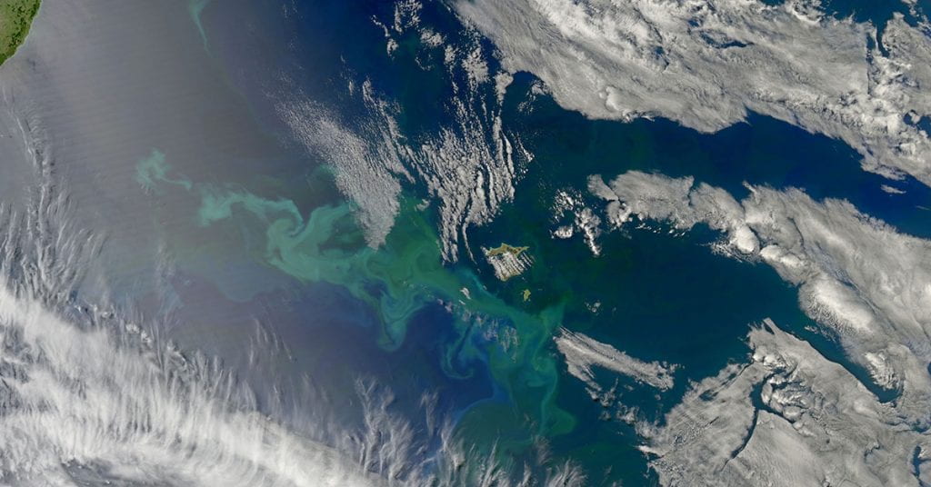 Phytoplankton bloom on the Chatham Rise, seen from space