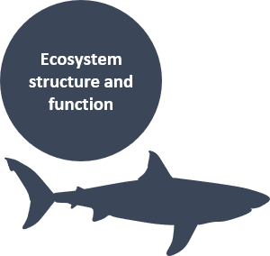 Ecosystem structure and function