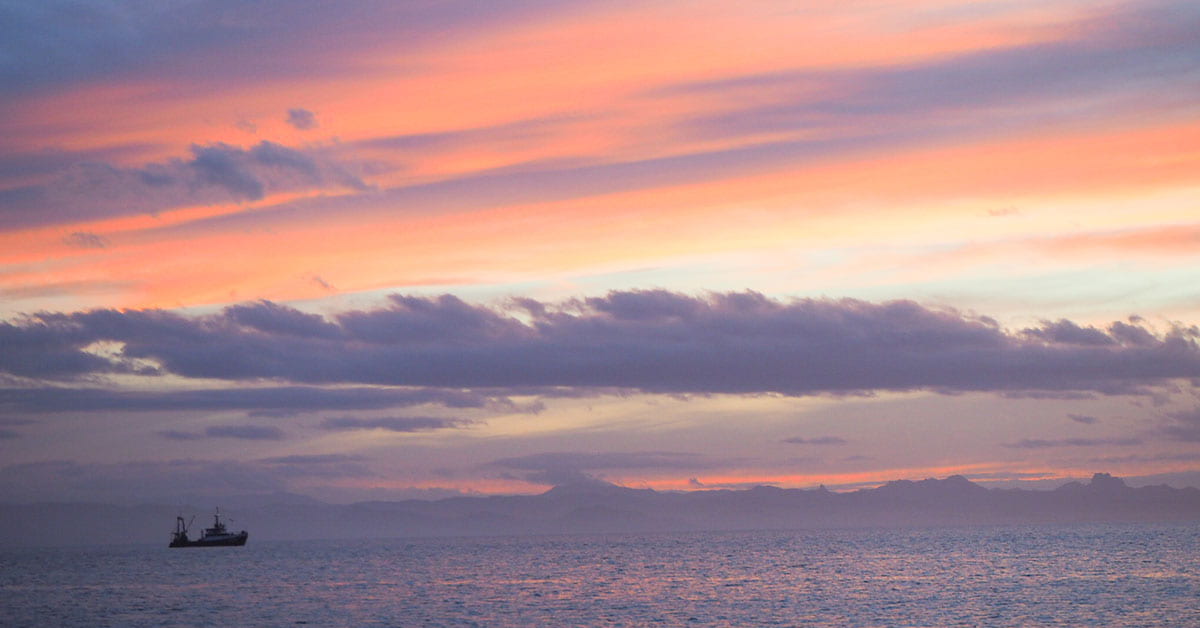 A fishing vessel off the coast of Coromandel at sunset