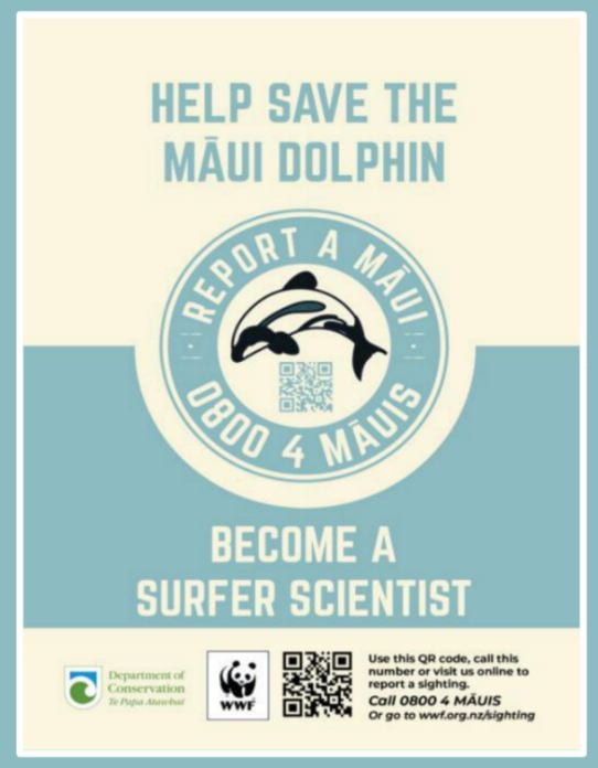 Poster with the words "Help save the Māui dolphin. Report a Māui 0800 4 MAUIS. Become a surfer scientist."