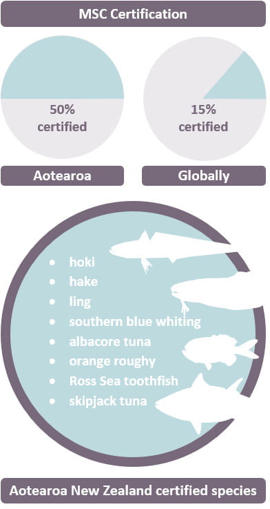 50% of Aotearoa NZ's fisheries are MSC-certified (by volume) compared to 15% for global fisheries. The species that have been certified in NZ include hoki, hake, ling, southern blue whiting, albacore tuna, orange roughy, Ross Sea toothfish and skipjack tuna