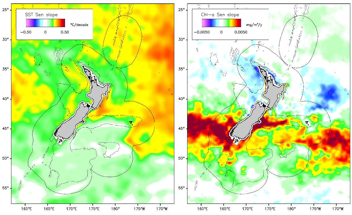 Two maps of New Zealand, one showing the warm sea surface temperatures to the northeast, the other showing dense phytoplankton abundance around the South Island, and especially to the southwest