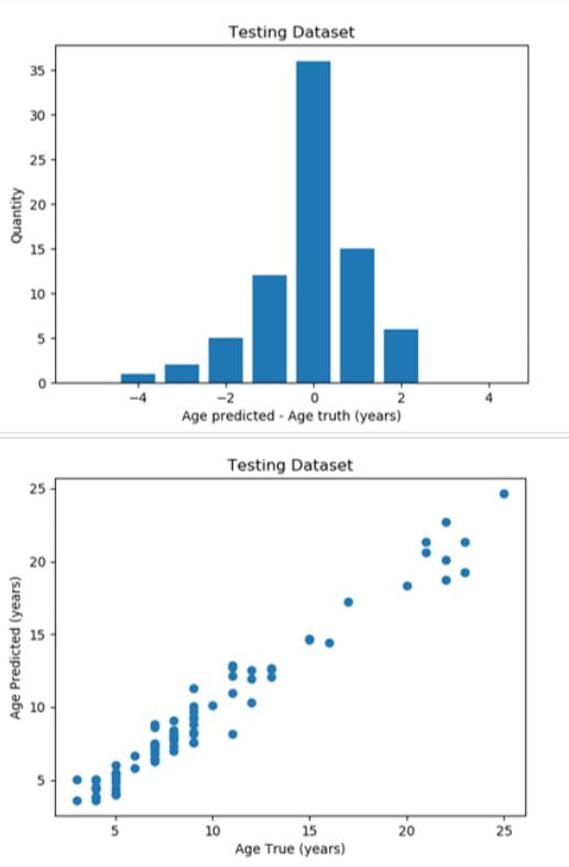 Graphs comparing fish age estimation by human counts of otolith annuli and machine learning detection of otolith annuli