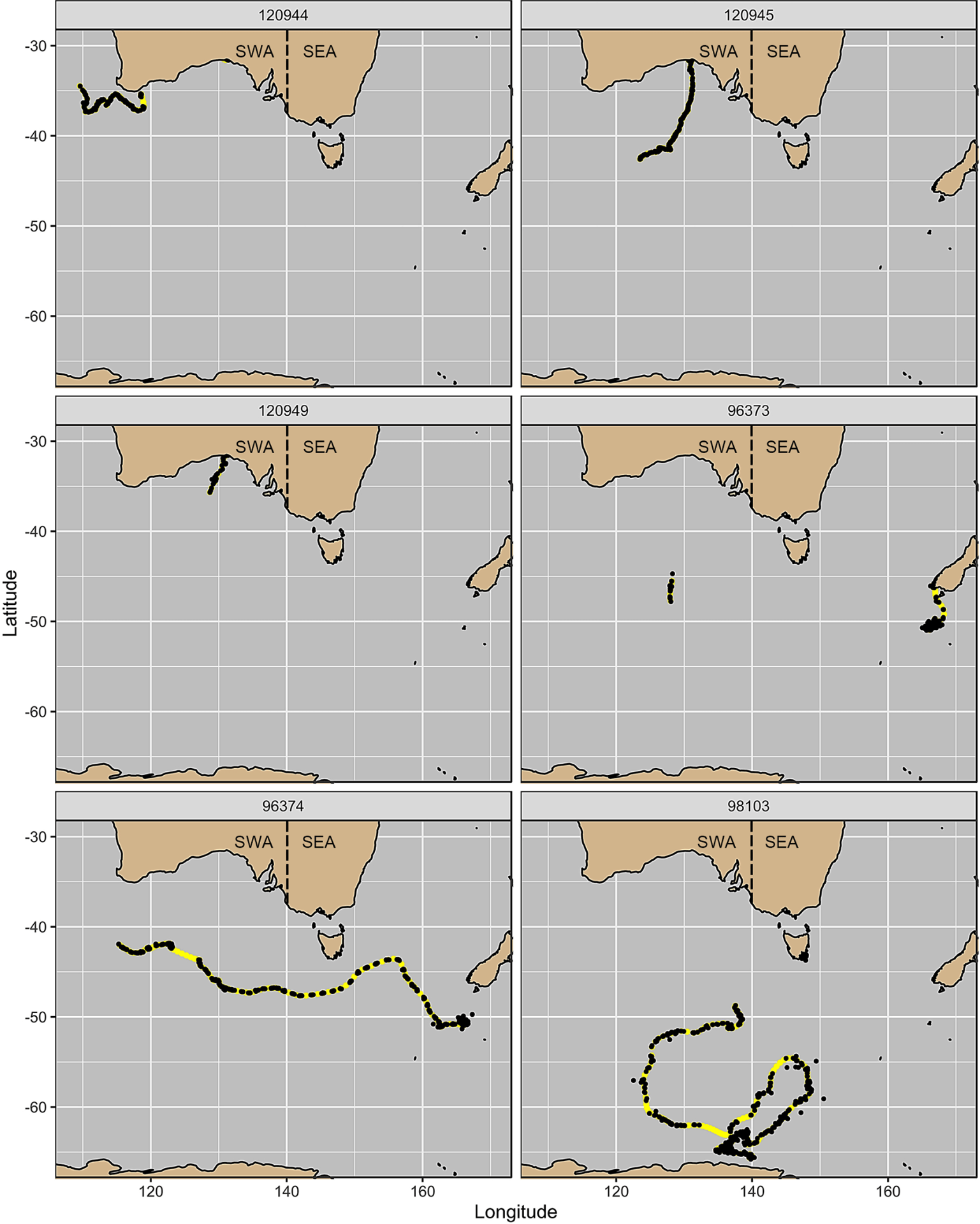 A series of six maps of the Southern Ocean below Australia and New Zealand show the routes of southern right whales as determined by satellite tracking