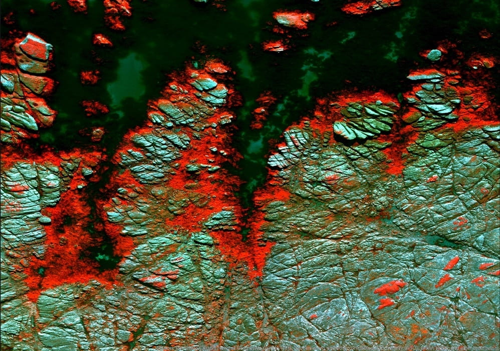Aerial image of a rocky coastline fringed with bright red areas representing uplifted kelp