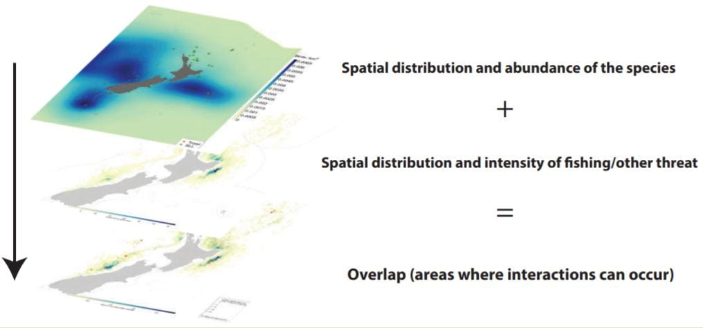 schematic of SEFRA: spatial dsitribution and abundance of the species plus spatial distribution and intensity of fishing (or other threat) equals overlap (areas where interactions can occur)