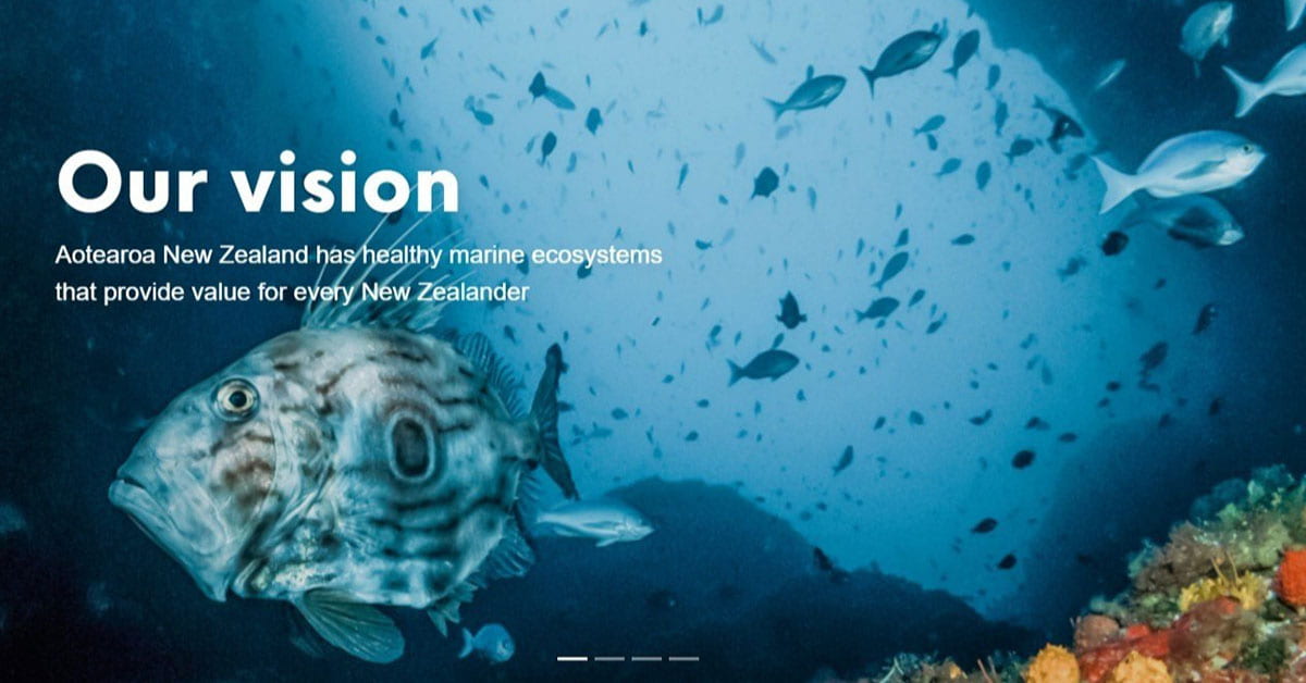 Screengrab of the Sustainable Seas website with a picture of a fish and the words "Our vision: Aotearoa New Zealand has healthy marine ecosystems that provide value to every New Zealander"