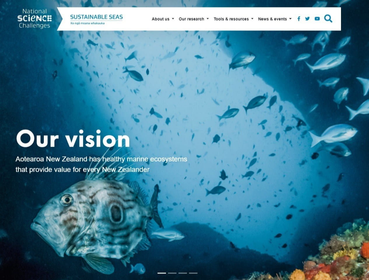 Screengrab of the Sustainable Seas website with a picture of a fish and the words "Our vision: Aotearoa New Zealand has healthy marine ecosystems that provide value to every New Zealander"