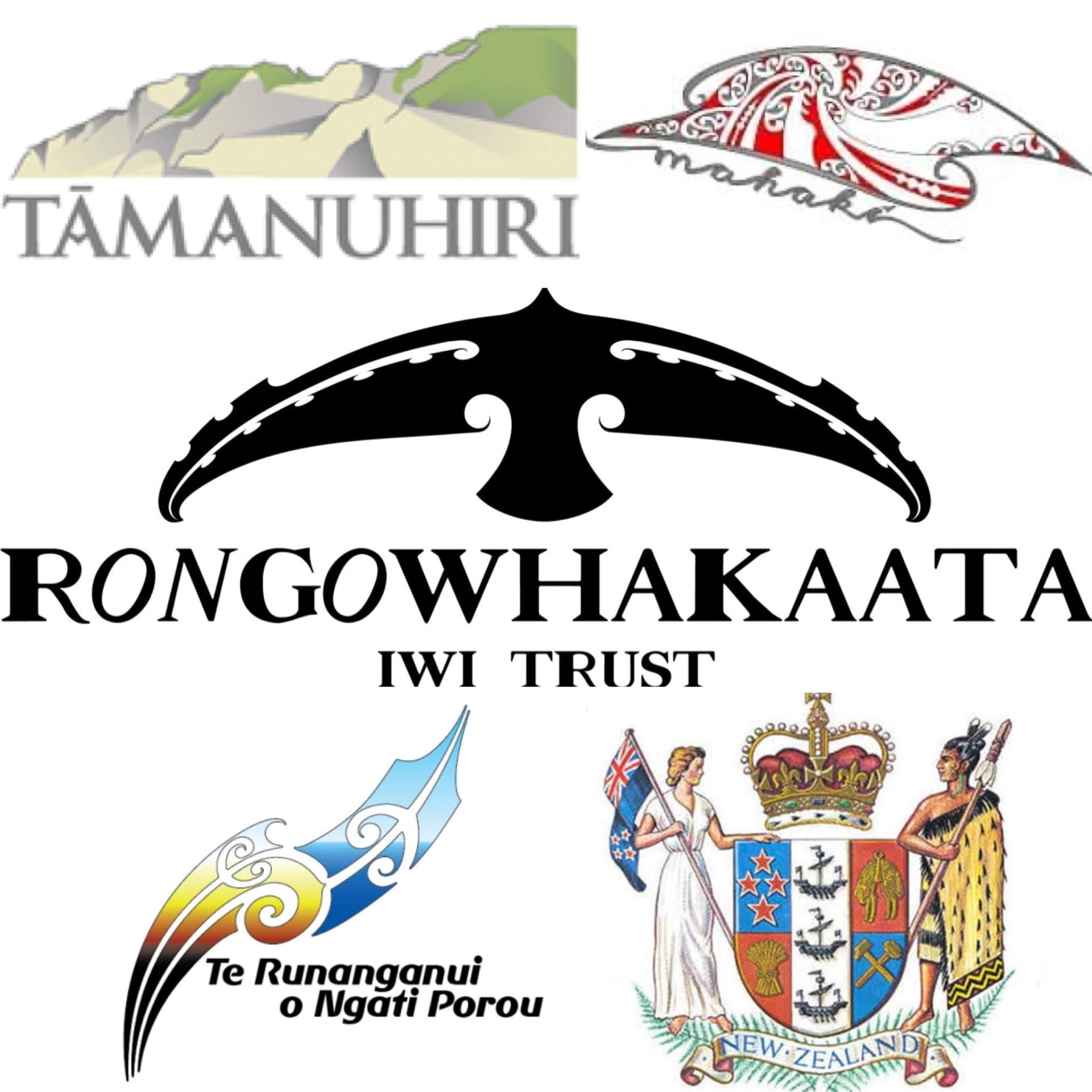 A collage of Tairāwhiti iwi logos: Tāmanuhiri, Mahaki, Rongawhakaata, Te Runanganui o Ngati Porou. Aso the NZ government logo