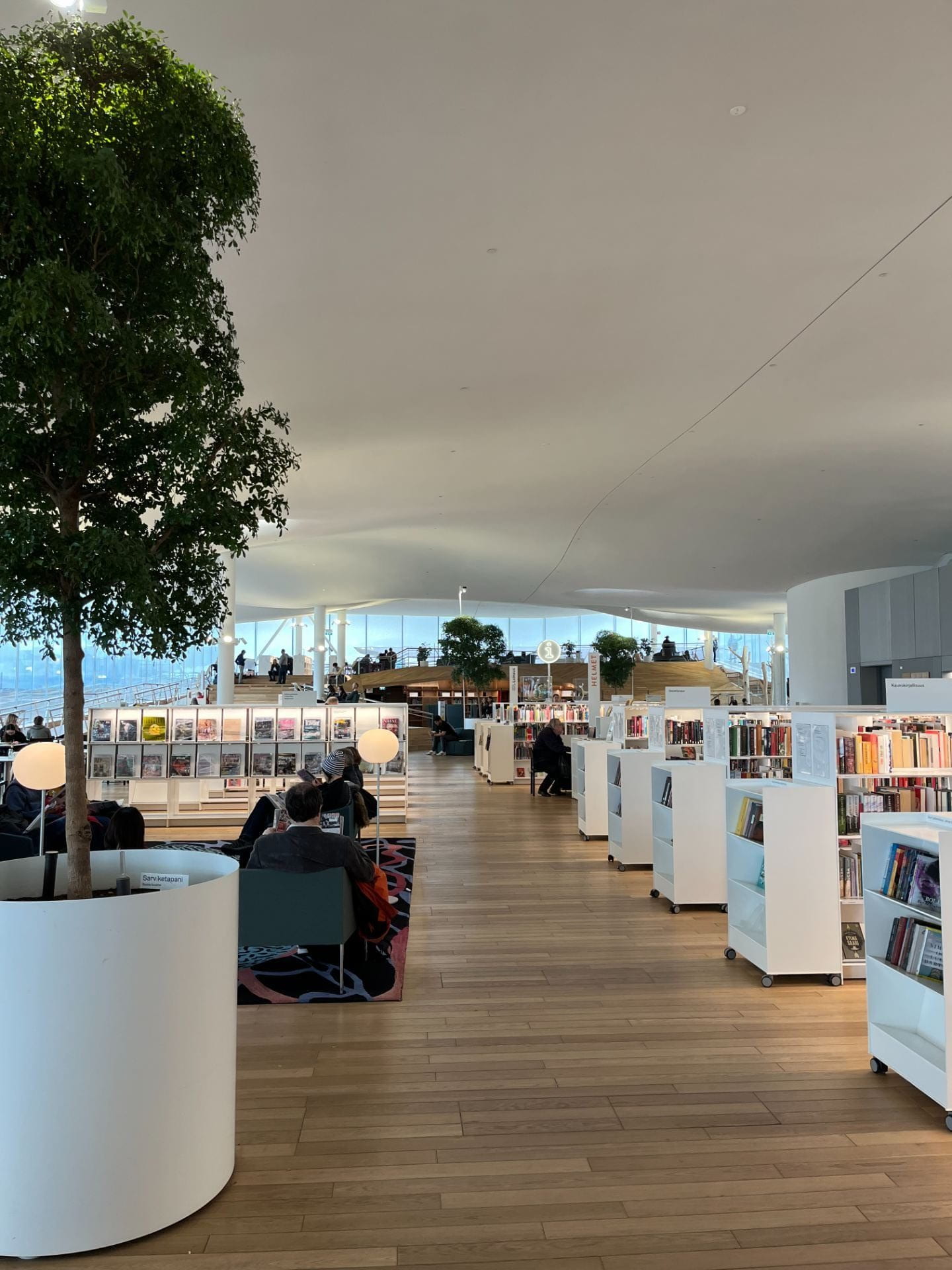 Library space with bookshelves to the right and a large indoor tree to the left